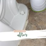 After - Toilet Bowl Cleaning