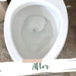 Toilet Bowl Clean After