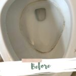 Toilet Bowl Clean Before